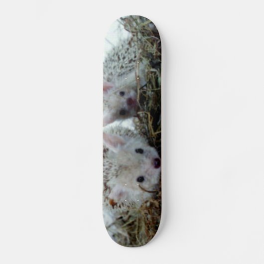 Egels als gezelschapsdieren skateboard (Voorkant)