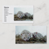 Egels als gezelschapsdieren visitekaartje (Voorkant / Achterkant)