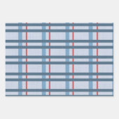 Egels en Plaid Inpakpapier Vel (Voorkant 2)