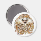 Egels magneet (Voorkant / Achterkant)