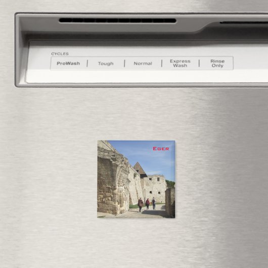 Eger Magneet (Insitu (Vaatwasser))