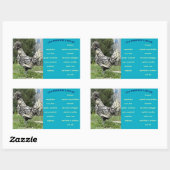 Egg Carton Label (Vel)