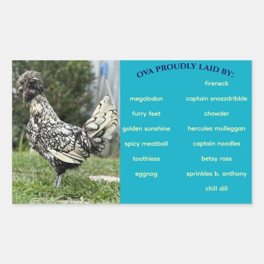 Egg Carton Label (Voorkant)