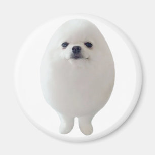 Egg Dog Magnet Magneet