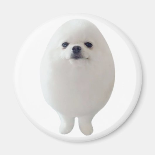 Egg Dog Magnet Magneet (Voorkant)