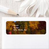 Egg Harbour, WI Herfst Season with Trolley Car Etiket (Insitu)