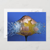 Eggceptioneel Briefkaart (Voorkant / Achterkant)