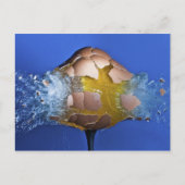 Eggceptioneel Briefkaart (Voorkant)