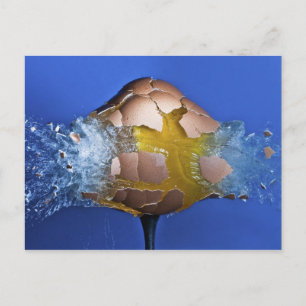 Eggceptioneel Briefkaart