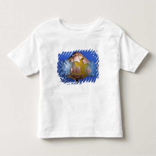 Eggceptioneel Kinder Shirts (Voorkant)