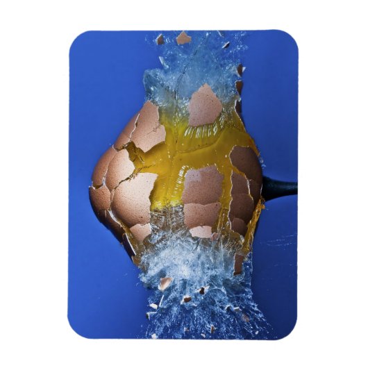 Eggceptioneel Magneet (Verticaal)