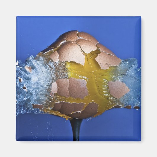 Eggceptioneel Magneet (Voorkant)