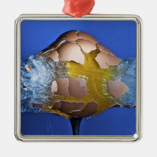 Eggceptioneel Metalen Ornament