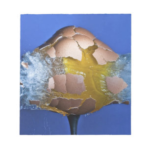 Eggceptioneel Notitieblok