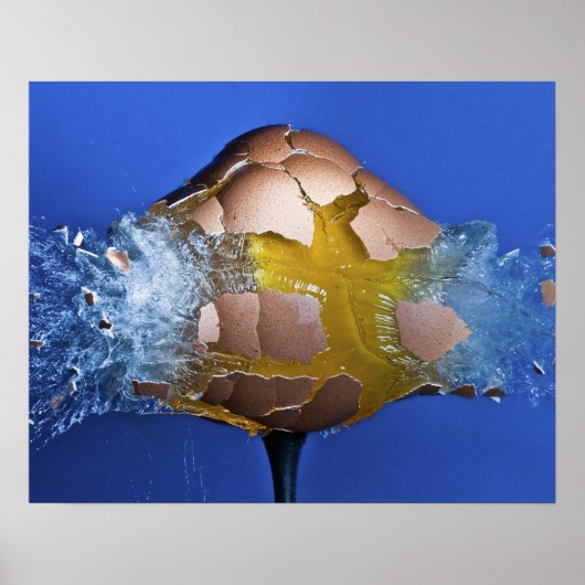 Eggceptioneel Poster (Voorkant)