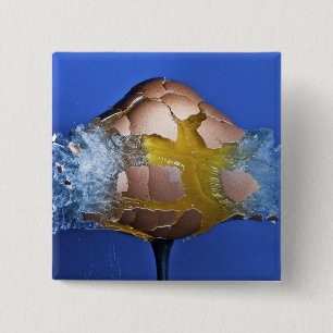 Eggceptioneel Vierkante Button 5,1 Cm