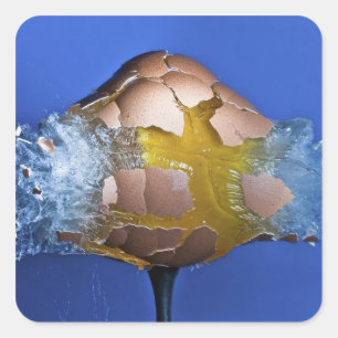 Eggceptioneel Vierkante Sticker