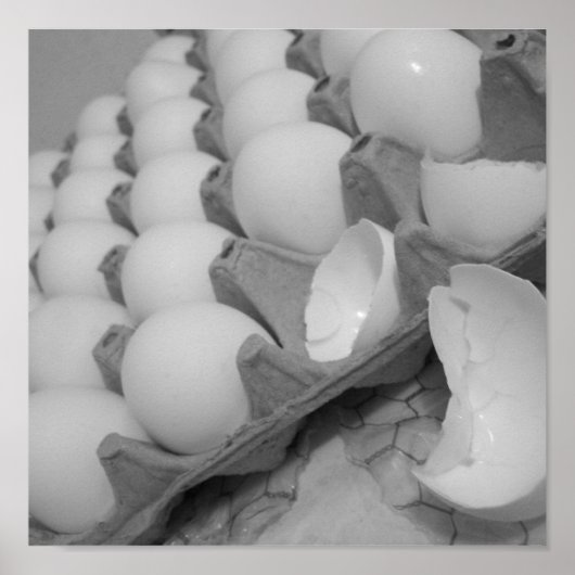 eggies Poster (Voorkant)