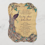 Eggplant Aqua Peacock  3 Veters Kaart (Voorkant / Achterkant)