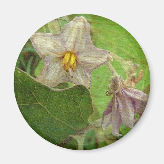 Eggplant Flowers Magneet (Voorkant)