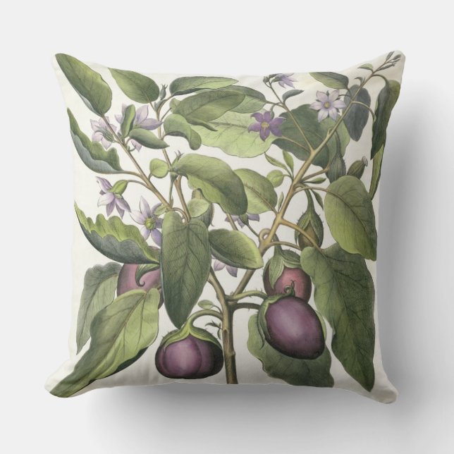 Eggplant: Melanzana fructu pallido uit de "Hor" Kussen (Voorkant)