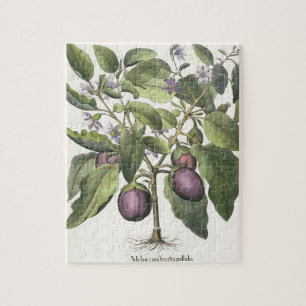 Eggplant: Melanzana fructu pallido uit de "Hor" Legpuzzel