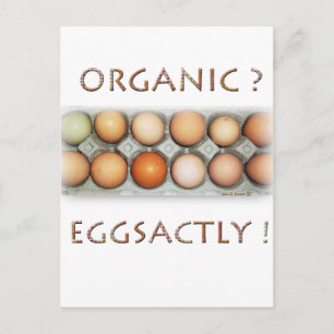 EGGSACTLY BRIEFKAART