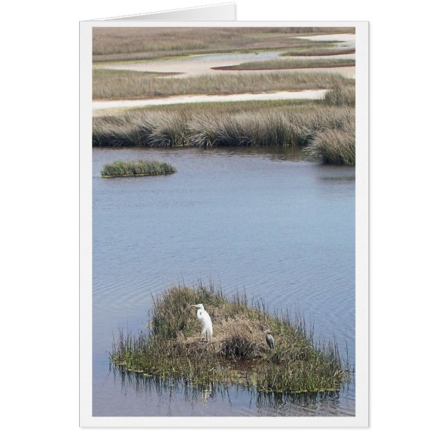 Egret At Home (Voorkant)