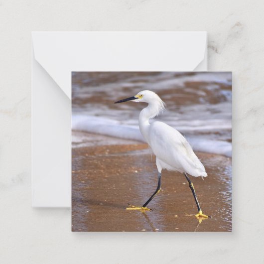Egret at the Beach mini carte pour notes set (Devant)