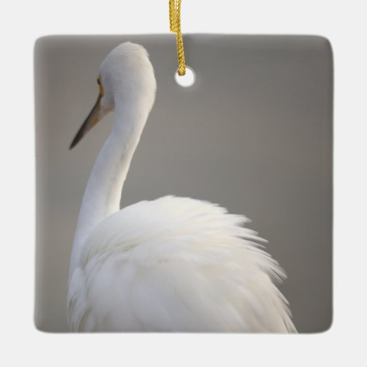 Egret Bird Ornament  (Voorkant)