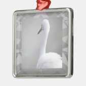 Egret Bird Photo Ornament  (Links)