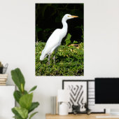 Egret Bird Poster (Thuiskantoor)