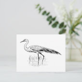 egret briefkaart (Staand voorkant)