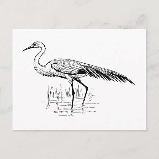egret briefkaart (Voorkant)