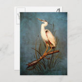 Egret Briefkaart (Voorkant / Achterkant)
