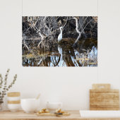 Egret en Louisiana Bayou - Poster (Cuisine)