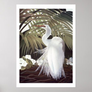 Egret en Palms Poster