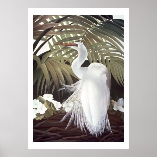 Egret en Palms Poster (Voorkant)