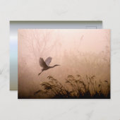 Egret Flying in Fog at Sunrise Briefkaart (Voorkant / Achterkant)