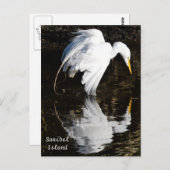 Egret in Bloom Briefkaart (Voorkant / Achterkant)