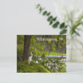 Egret in Wilmington, NC Briefkaart (Staand voorkant)