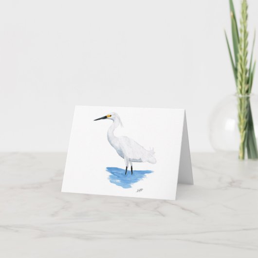 Egret neigeux (Devant)