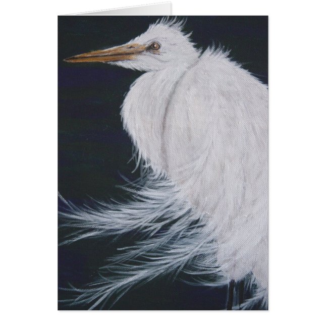 Egret neigeux (Devant)