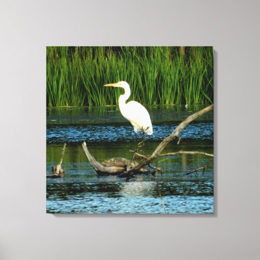 Egret neigeux sur toile de journal Imprimer (Recto)