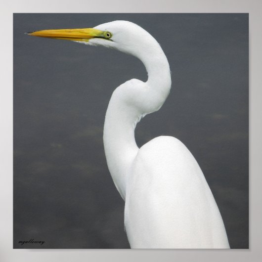egret poster (Voorkant)