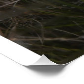 Egret & Reflection Photo Poster brillant (Coin)