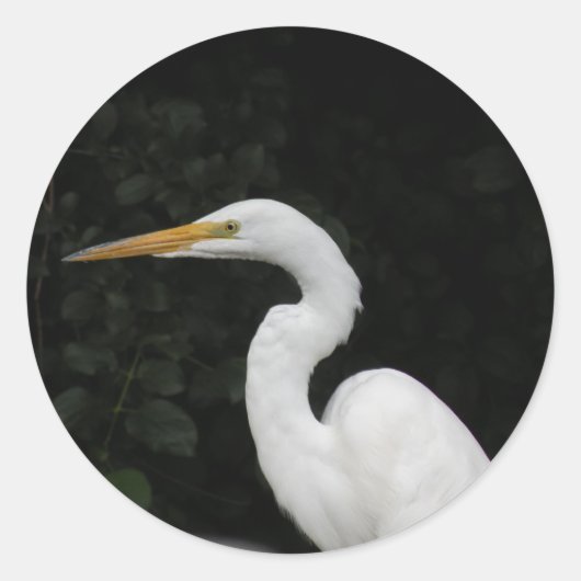 Egret Ronde Sticker (Voorkant)