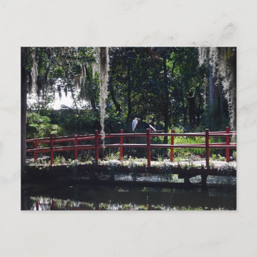 Egret sur carte postale Red Bridge (Devant)