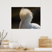 Egret vous regarde Poster (Cuisine)