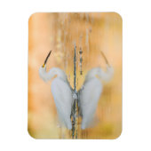 Egret wanneer de Zon plaatst Magneet (Verticaal)